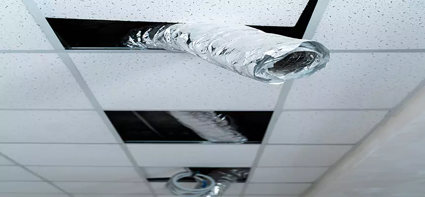 Our Air Duct Pet Hair Removal Services in Kyle, TX