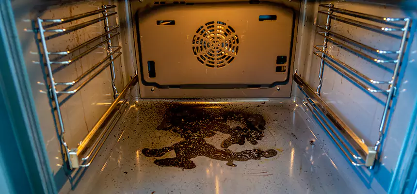 Our Dryer Vent Mold Cleaning Services in Kyle, TX