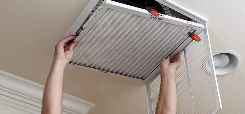 Our Insect Removal from Air Ducts Services in Kyle, TX