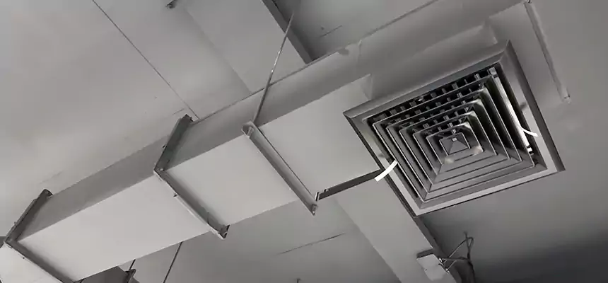 Our Rodent Droppings In Vents Services in Kyle, TX