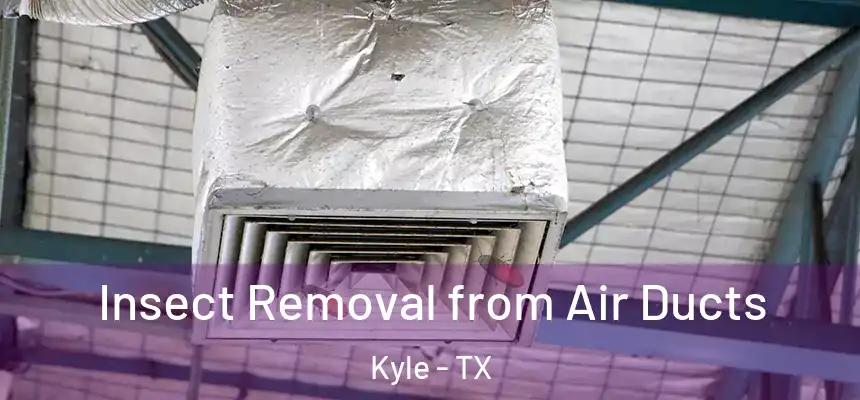 Insect Removal from Air Ducts Kyle - TX