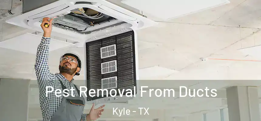 Pest Removal From Ducts Kyle - TX