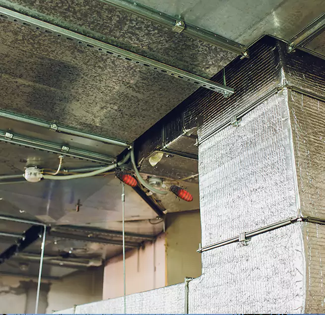 Why Homeowners & Businesses Trust Us in Kyle, TX?