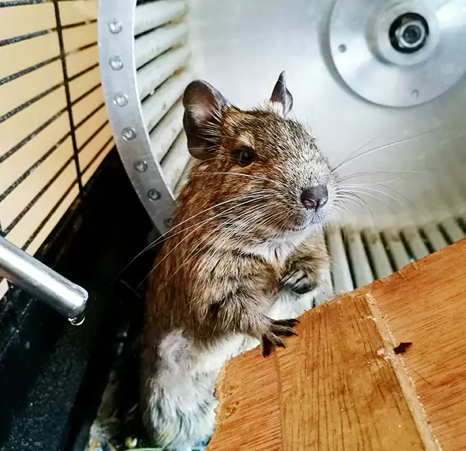 Why Homeowners & Businesses Trust Us Kyle, TX