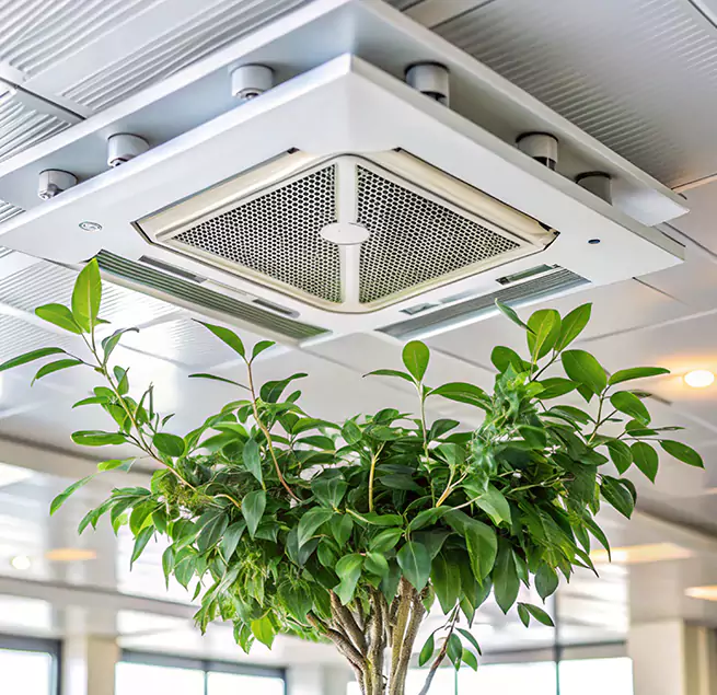 Why Homeowners & Businesses Trust Us in Kyle, TX