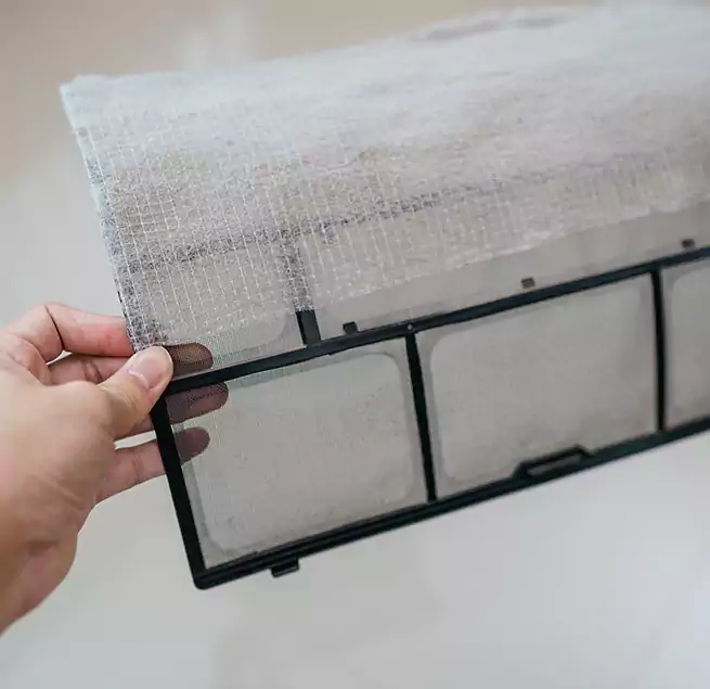 Why Homeowners & Businesses Trust Us in Kyle, TX?