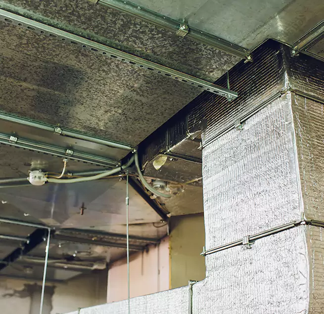 Why Homeowners & Businesses Trust Us in Kyle, TX?