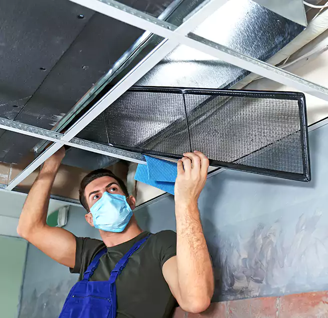 Why Homeowners Businesses Trust Us in Kyle, TX